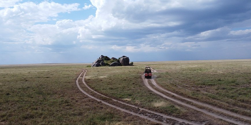 TourCompass-Autofahrt im Serengeti-Nationalpark
