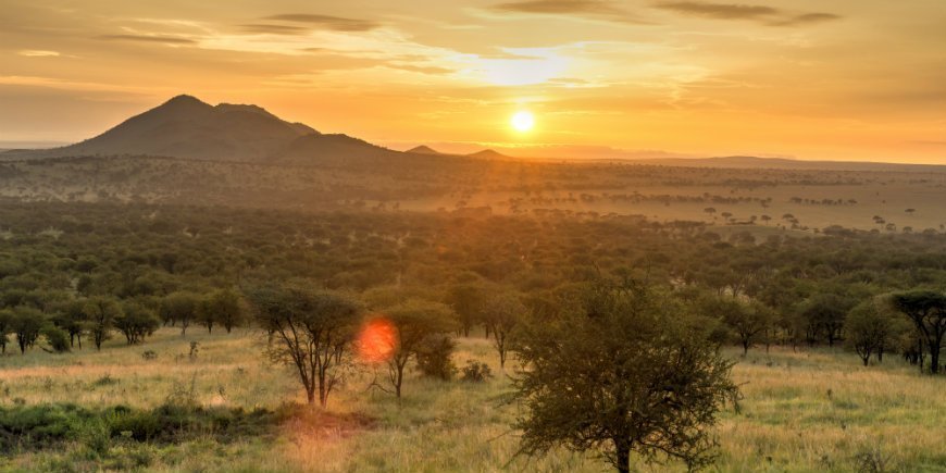 Sonne über Serengeti
