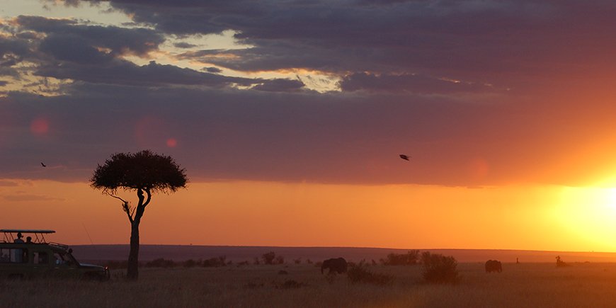 Masai Mara Ansicht