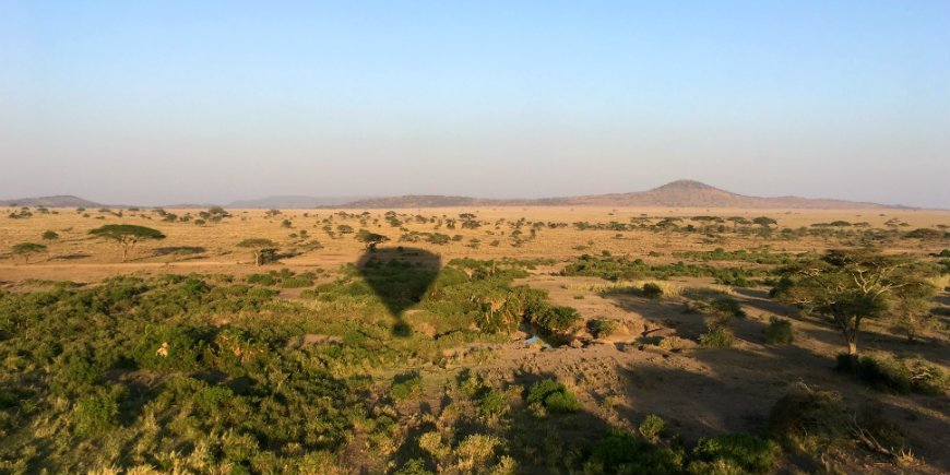 Blick auf die Serengeti